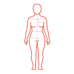 Evaluate your anatomy icon